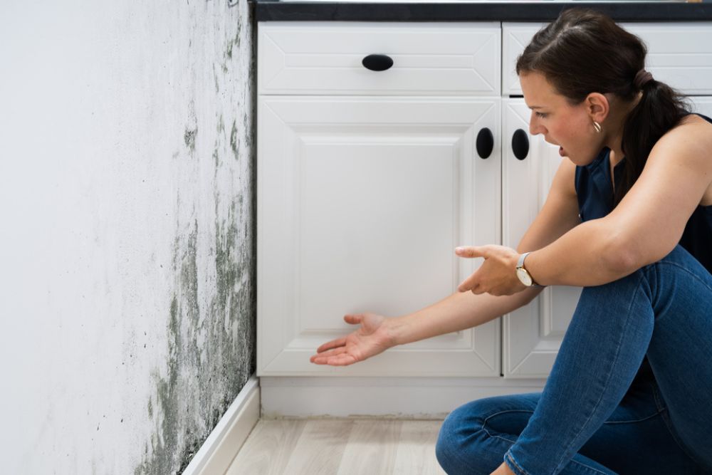Mold Remediation, Mold Mitigation, Mold Removal, Black Mold Removal, Mold Cleanup, Mold Damage Restoration, Emergency Mold Removal, Basement Mold Removal Residential Mold Remediation, Commercial Mold Remediation