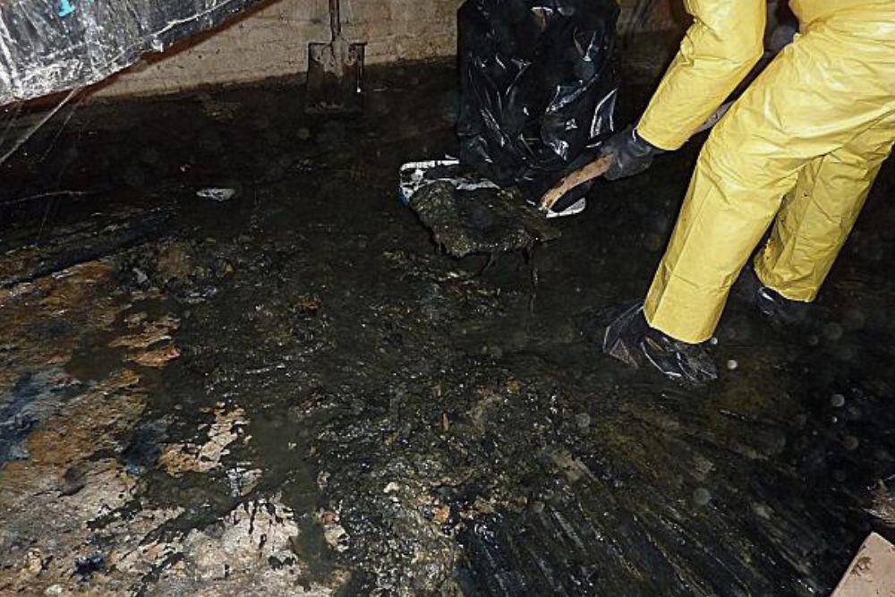 Raw Sewage Cleanup, Sewage Cleanup Services, Sewage Backup Cleanup, Emergency Sewage Cleanup, Sewer Backup Cleanup, Sewage Removal Services, Black Water Cleanup, Sewage Damage Restoration, Contaminated Water Cleanup, 24-Hour Sewage Cleanup