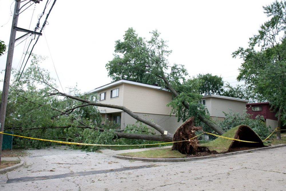 Storm Damage Restoration, Storm Damage Repair, Emergency Storm Damage Repair, Storm Damage Contractor, Wind Damage Restoration, Hail Damage Restoration, Storm Damage Cleanup, Insurance Claim Storm Damage Repair, Residential Storm Damage Restoration, Commercial Storm Damage Restoration