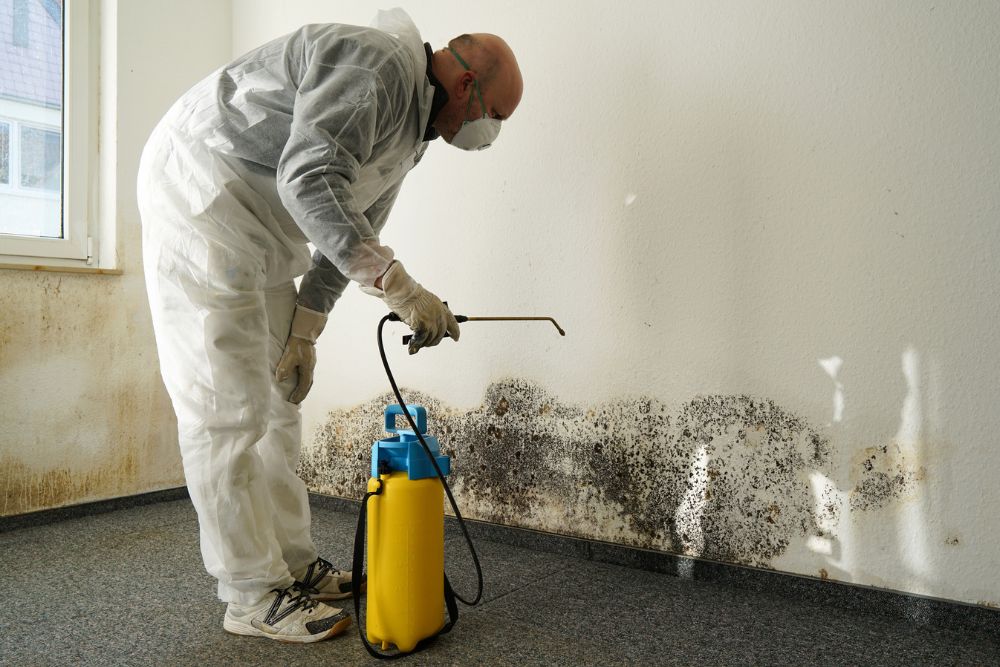 Mold Remediation, Mold Mitigation, Mold Removal, Black Mold Removal, Mold Cleanup, Mold Damage Restoration, Emergency Mold Removal, Basement Mold Removal Residential Mold Remediation, Commercial Mold Remediation