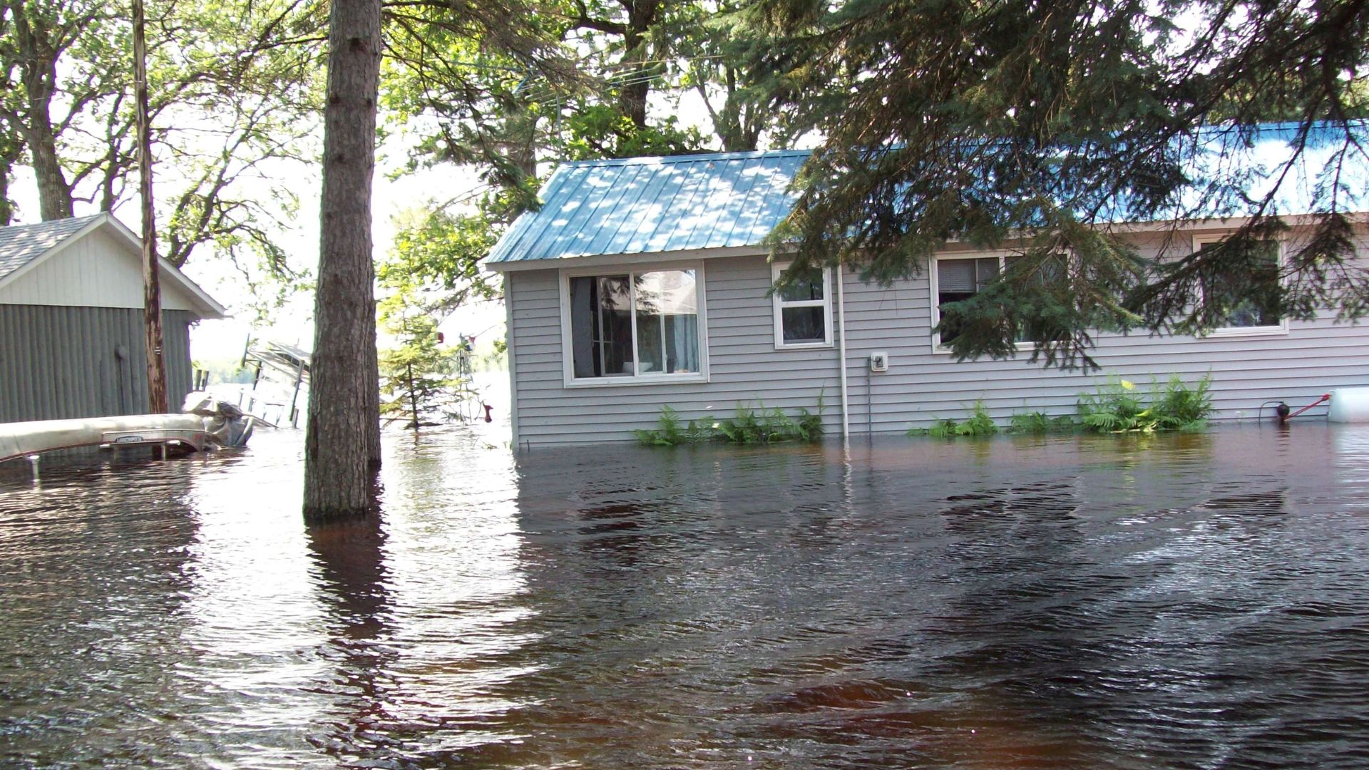 Flood Cleanup Services