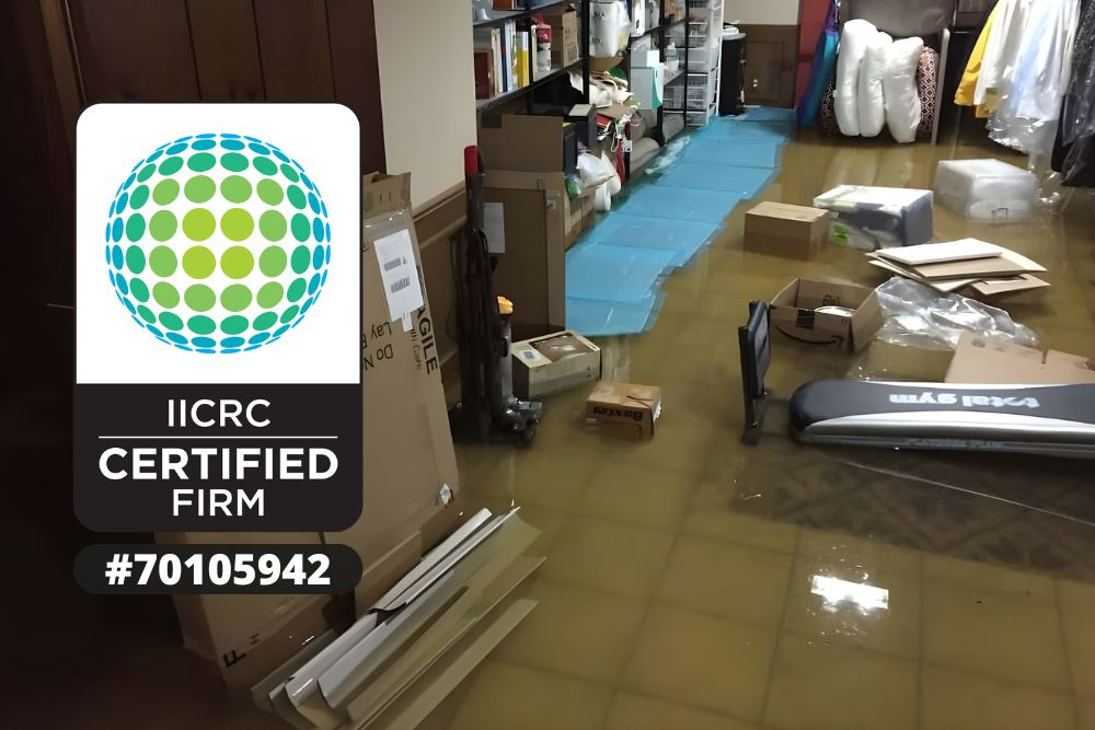 Water Damage Cleanup, Emergency Water Damage Cleanup, Water Damage Restoration Water Damage Repair, Water Damage, Commercial Water Damage, Basement Water Removal, Water Extraction Services, Water Extraction Companies, Water Removal Services Emergency Water Extraction, 24 Hour Water Damage Restoration, Water Damage Restoration Near Me