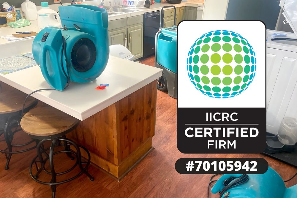Water Damage Cleanup, Emergency Water Damage Cleanup, Water Damage Restoration Water Damage Repair, Water Damage, Commercial Water Damage, Basement Water Removal, Water Extraction Services, Water Extraction Companies, Water Removal Services Emergency Water Extraction, 24 Hour Water Damage Restoration, Water Damage Restoration Near Me