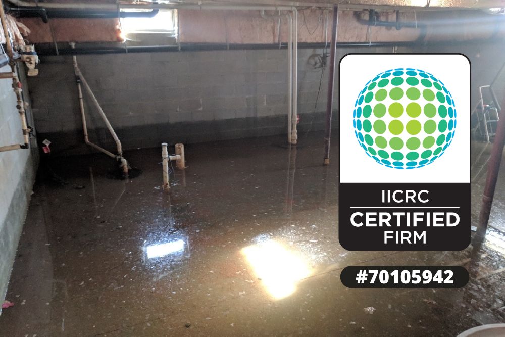 Water Damage Cleanup Grantsburg WI, Emergency Water Damage Cleanup Grantsburg WI, Water Damage Cleanup in Grantsburg Wisconsin, Water Removal Grantsburg WI, Water Extraction Grantsburg WI, Flood Damage Cleanup Grantsburg WI, Basement Water Cleanup Grantsburg WI, Residential Water Damage Cleanup Grantsburg WI, Commercial Water Damage Cleanup Grantsburg WI, Water Damage Cleanup Near Grantsburg WI