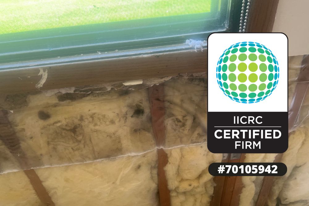 Water Damage Restoration Wisconsin, Emergency Water Damage Restoration WI, Professional Water Damage Restoration, Residential Water Damage Restoration, Commercial Water Damage Restoration, Water Damage Restoration Services, Emergency Water Extraction, Structural Drying Services, Water Damage Restoration and Repairs, 24/7 Water Damage Restoration Wisconsin