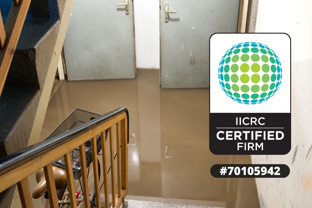 Water Damage Cleanup Siren WI, Emergency Water Damage Cleanup Siren WI, Water Damage Cleanup in Siren Wisconsin, Water Removal Siren WI, Water Extraction Siren WI, Flood Damage Cleanup Siren WI, Basement Water Cleanup Siren WI, Residential Water Damage Cleanup Siren WI, Commercial Water Damage Cleanup Siren WI, Water Damage Cleanup Near Siren WI