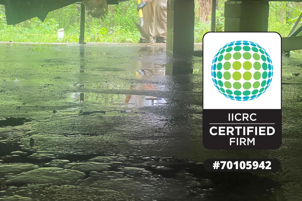 Water Damage Restoration Danbury WI, Professional Water Damage Restoration Danbury WI, Water Damage Inspection Danbury WI, Water Damage Restoration Process Danbury WI, Emergency Water Extraction Danbury WI, Structural Drying Danbury WI, Water Damage Assessment Danbury WI, Water Damaged Wall Restoration Danbury WI, IICRC Certified Restoration Firm, Water Damage Structural Repairs Danbury WI