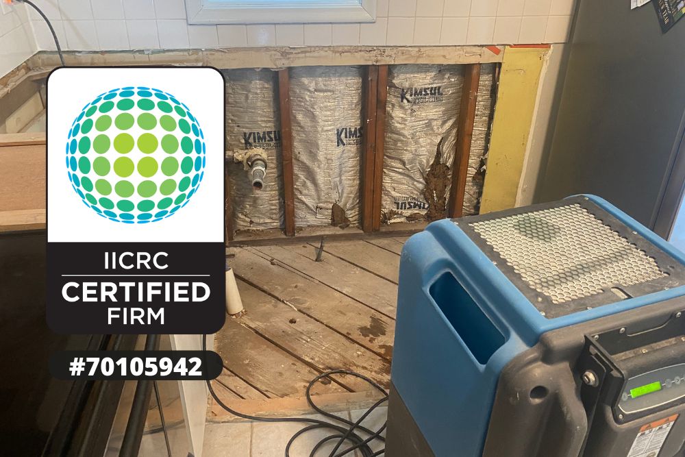 Water Damage Repair Danbury WI, Professional Water Damage Repair Danbury, Water Damage Repair Process Danbury WI, Water Damaged Drywall Replacement Danbury, Water Damaged Flooring Repair Danbury, Structural Water Damage Repair Danbury WI, Water Damage Assessment Danbury WI, Emergency Property Repair Danbury, Residential Water Damage Repairs Danbury, Commercial Water Damage Repairs Danbury