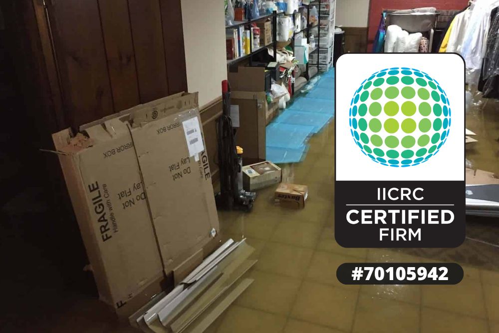 Water Damage Cleanup Webster WI, Emergency Water Damage Cleanup Webster WI, Water Damage Cleanup in Webster Wisconsin, Water Removal Webster WI, Water Extraction Webster WI, Flood Damage Cleanup Webster WI, Basement Water Cleanup Webster WI, Residential Water Damage Cleanup Webster WI, Commercial Water Damage Cleanup Webster WI, Water Damage Cleanup Near Webster WI