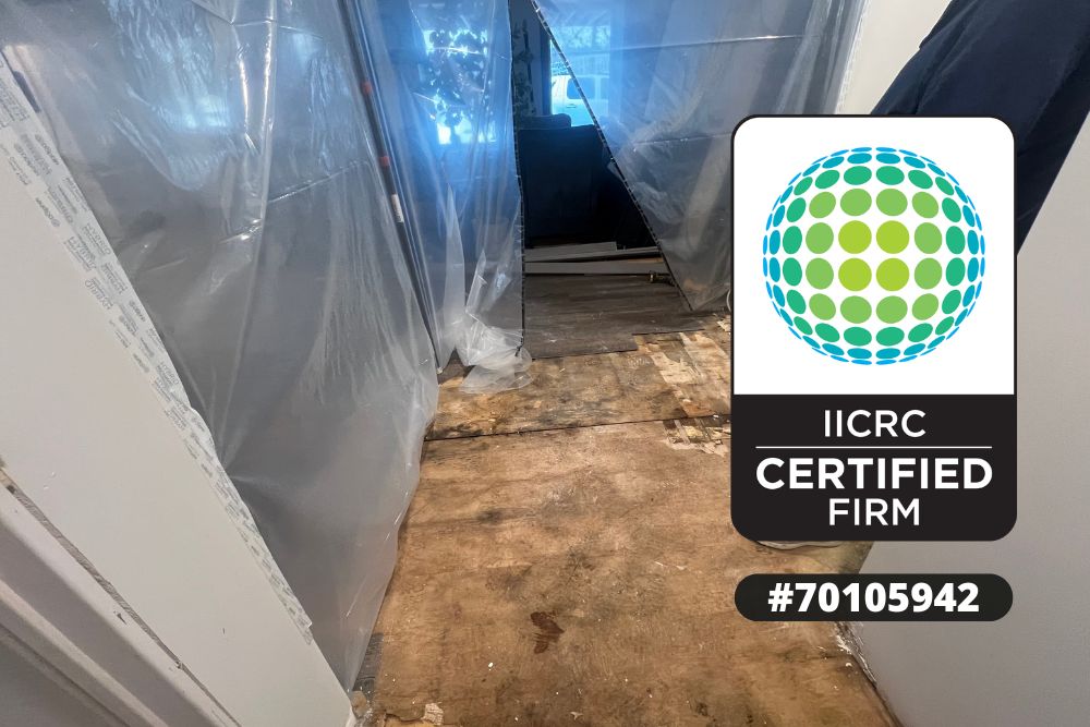 Water Damage Restoration Luck WI, Professional Water Damage Restoration Luck WI, Water Damage Inspection Luck WI, Water Damage Restoration Process Luck WI, Emergency Water Extraction Luck WI, Structural Drying and Dehumidification Luck WI, Water Damaged Wall Restoration Luck WI, Water Damage Assessment Luck WI, IICRC Certified Restoration Firm, Water Damage Structural Repairs Luck WI