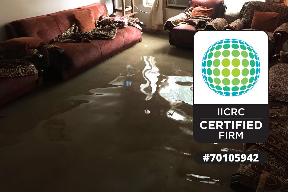 Basement Water Removal Siren WI, Flooded Basement Cleanup Siren WI, Basement Water Extraction Siren WI, Emergency Basement Water Removal Siren WI, Basement Flood Cleanup Siren WI, Basement Water Damage Restoration Siren WI, Basement Flood Damage Cleanup Siren WI, Basement Water Damage Repair Siren WI, Basement Water Cleanup Siren WI, Basement Drying and Dehumidification Siren WI