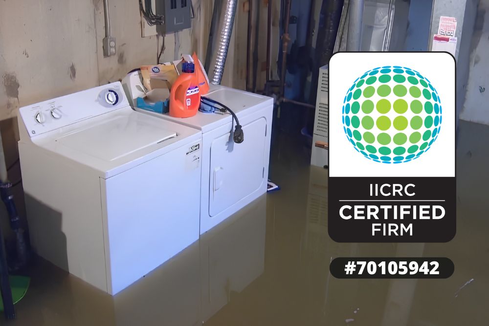Basement Water Removal Webster WI, Flooded Basement Cleanup Webster WI, Basement Water Extraction Webster WI, Emergency Basement Water Removal Webster WI, Basement Flood Cleanup Webster WI, Basement Water Damage Restoration Webster WI, Basement Flood Damage Cleanup Webster WI, Basement Water Damage Repair Webster WI, Basement Water Cleanup Webster WI, Basement Drying and Dehumidification Webster WI