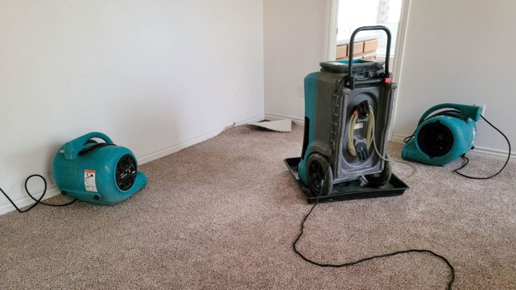 Basement Water Removal Webster WI, Flooded Basement Cleanup Webster WI, Basement Water Extraction Webster WI, Emergency Basement Water Removal Webster WI, Basement Flood Cleanup Webster WI, Basement Water Damage Restoration Webster WI, Basement Flood Damage Cleanup Webster WI, Basement Water Damage Repair Webster WI, Basement Water Cleanup Webster WI, Basement Drying and Dehumidification Webster WI Copy Keywords