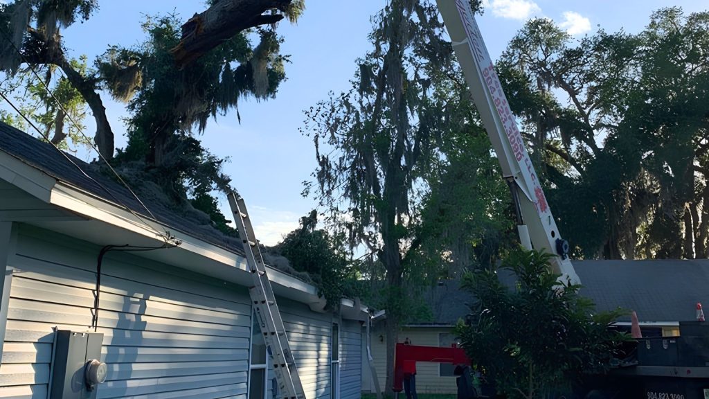 Roof Replacement Luck WI, Roof Replacement Contractor Luck WI, Residential Roof Replacement Luck WI, Asphalt Shingle Roof Replacement Luck WI, Storm Damage Roof Replacement Luck WI, Hail Damage Roof Replacement Luck WI, New Roof Installation Luck WI, Roof Replacement Near Luck WI