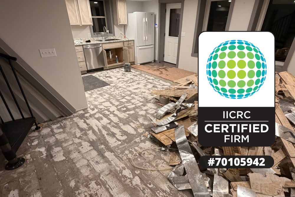 Water Damage Restoration Webster WI, Professional Water Damage Restoration Webster WI, Water Damage Inspection Webster WI, Water Damage Restoration Process Webster WI, Emergency Water Extraction Webster WI, Structural Drying and Dehumidification Webster WI, Water Damaged Wall Restoration Webster WI, Water Damage Assessment Webster WI, IICRC Certified Restoration Firm, Water Damage Structural Repairs Webster WI