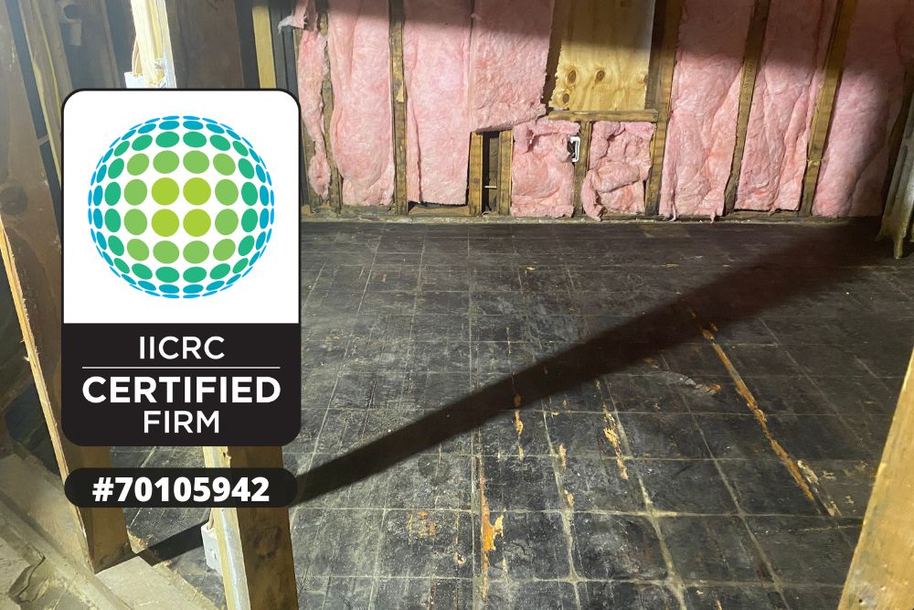 Water Damage Repair Webster WI, Professional Water Damage Repair Webster, Water Damage Repair Process Webster WI, Water Damaged Drywall Replacement Webster, Water Damaged Flooring Repair Webster, Structural Water Damage Repair Webster WI, Water Damage Assessment Webster WI, Emergency Property Repair Webster, Residential Water Damage Repairs Webster, Commercial Water Damage Repairs Webster