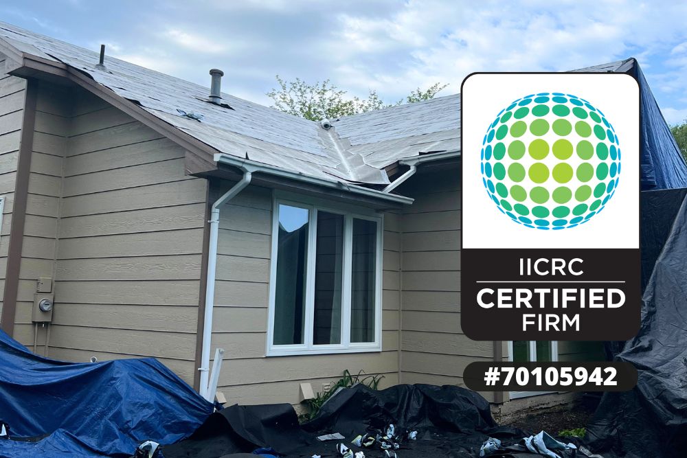Roof Replacement Webster WI, Roof Replacement Warning Signs Webster WI, Damaged Roof Shingles Webster WI, Storm Damage Roof Replacement Webster WI, Hail Damage Roof Replacement Webster WI, Aging Asphalt Shingle Roof Webster WI, Roof Leak Replacement Webster WI, Professional Roof Inspection Webster WI